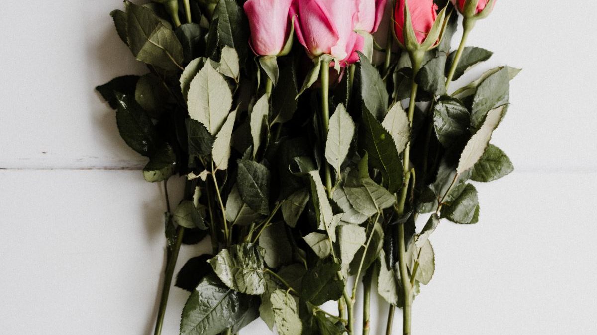 Kosmetyki z różą – właściwości, cenne składniki + moje ulubione