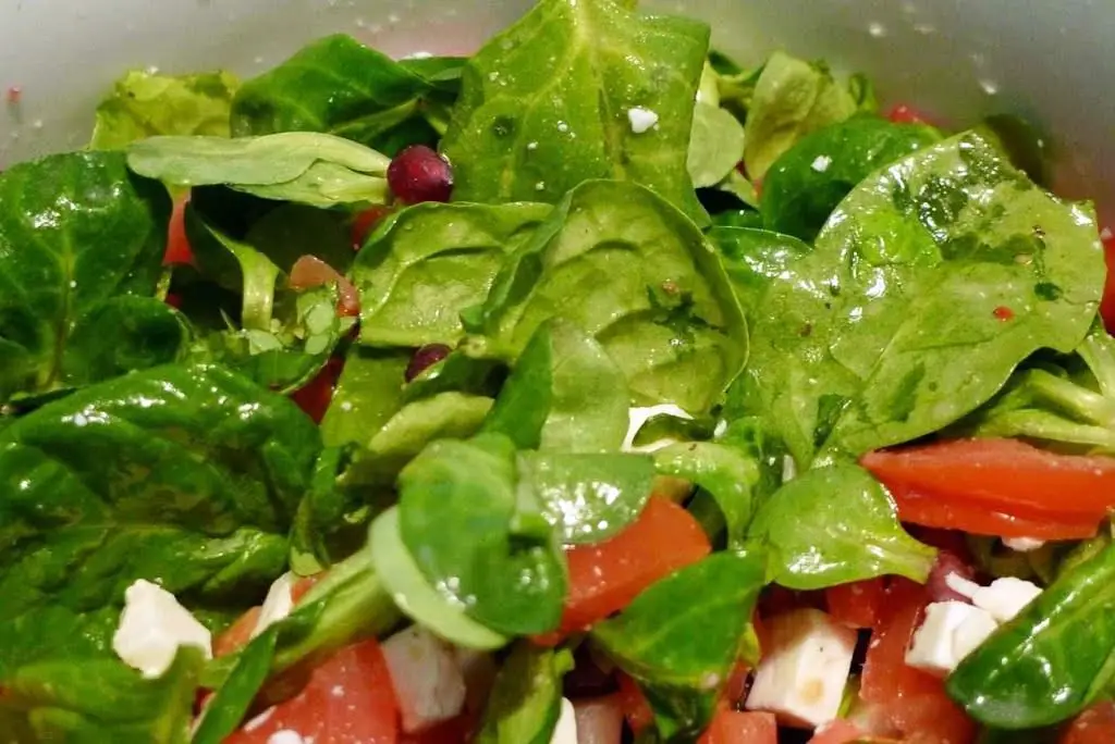 salata z kozim serem