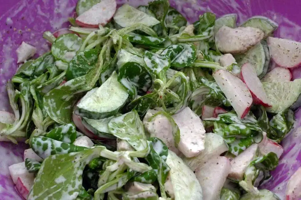 Sałatka z kurczakiem i rzodkiewką