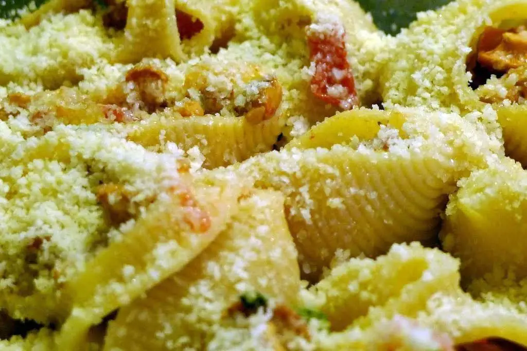 Muszle makaronowe faszerowane kurkami