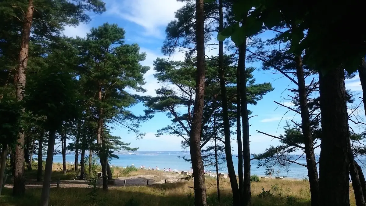 Wakacje dzień 6 – Prora