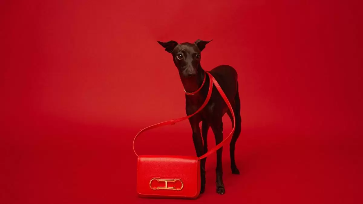 LuxLux na nowo: torebki Carolina Herrera i pieski