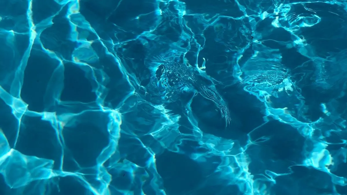 Moje ulubione sprawdzone kremy nawilżające do twarzy