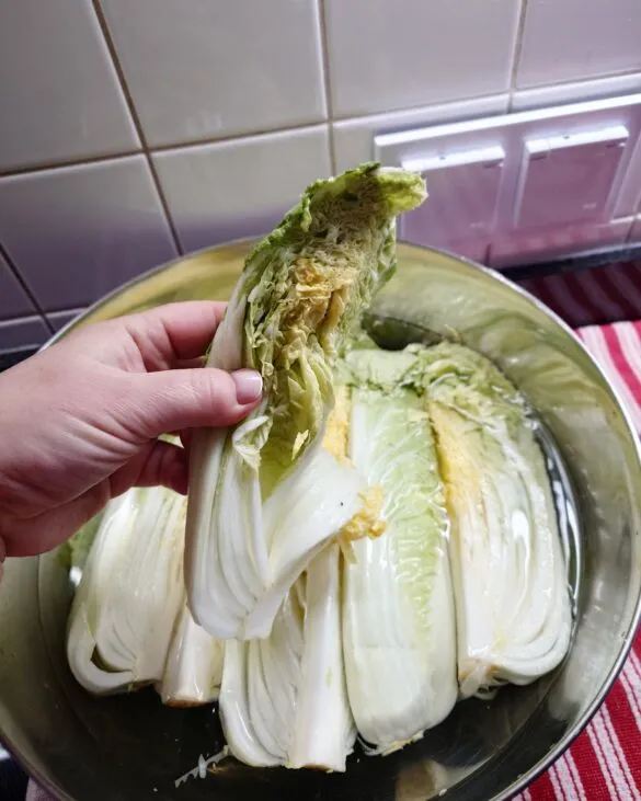 kapusta po namoczeniu